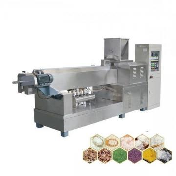 Instant Rice Noodles Extruder/Rice Vermicelli Forming Machine/Bean Vermicelli Making Machine